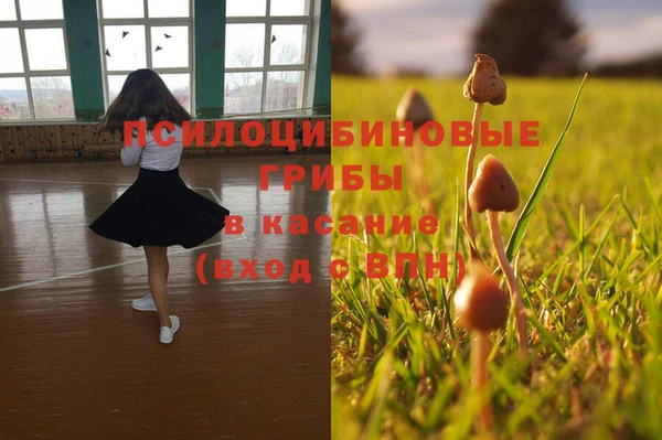 каннабис Медногорск