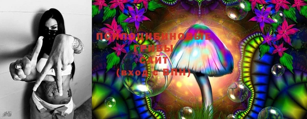 ECSTASY Мегион